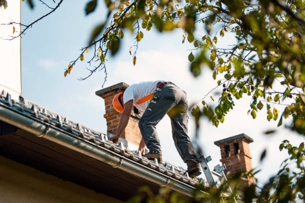 Best Roof Replacement Cost  in Halstead, KS