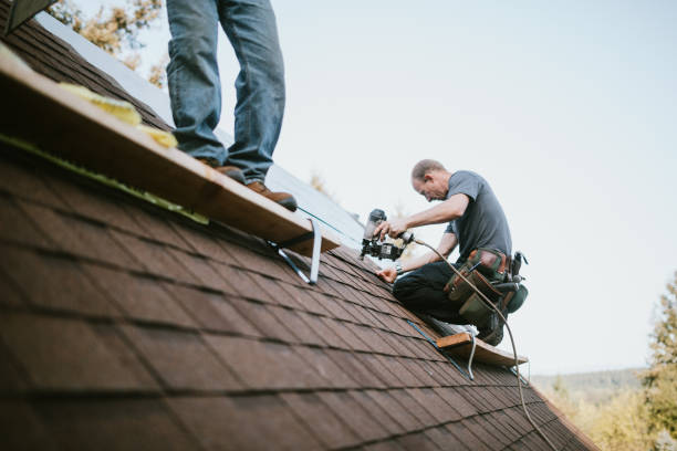 Best Local Roofing Companies  in Halstead, KS